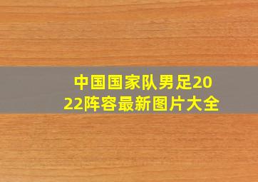 中国国家队男足2022阵容最新图片大全