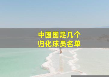 中国国足几个归化球员名单