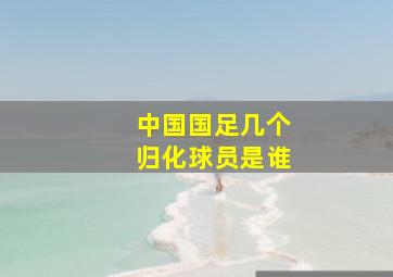 中国国足几个归化球员是谁