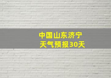 中国山东济宁天气预报30天