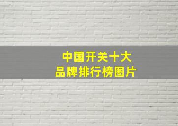 中国开关十大品牌排行榜图片