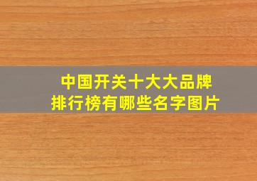 中国开关十大大品牌排行榜有哪些名字图片