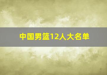 中国男篮12人大名单