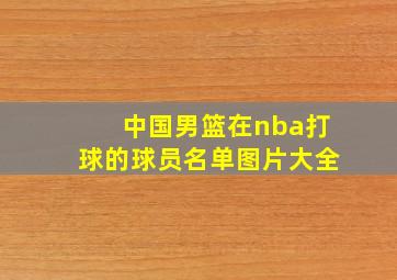 中国男篮在nba打球的球员名单图片大全