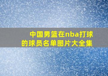 中国男篮在nba打球的球员名单图片大全集