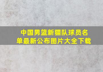 中国男篮新疆队球员名单最新公布图片大全下载