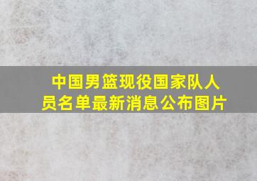 中国男篮现役国家队人员名单最新消息公布图片