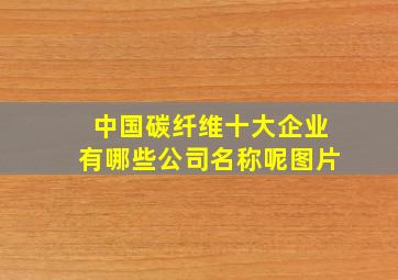 中国碳纤维十大企业有哪些公司名称呢图片