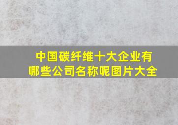 中国碳纤维十大企业有哪些公司名称呢图片大全