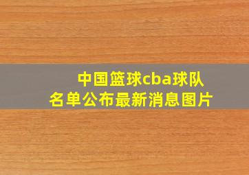 中国篮球cba球队名单公布最新消息图片