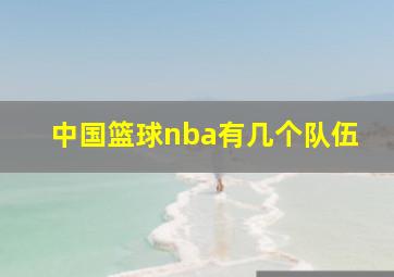 中国篮球nba有几个队伍