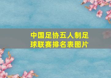 中国足协五人制足球联赛排名表图片