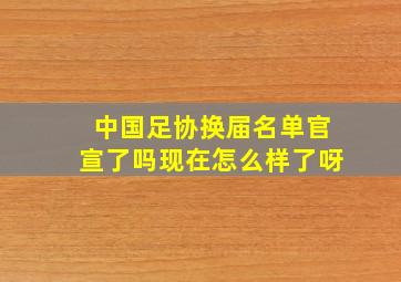 中国足协换届名单官宣了吗现在怎么样了呀