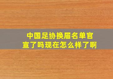 中国足协换届名单官宣了吗现在怎么样了啊