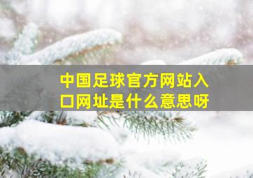 中国足球官方网站入口网址是什么意思呀