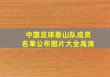 中国足球泰山队成员名单公布图片大全高清