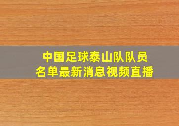 中国足球泰山队队员名单最新消息视频直播