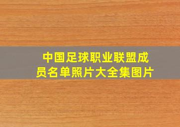 中国足球职业联盟成员名单照片大全集图片