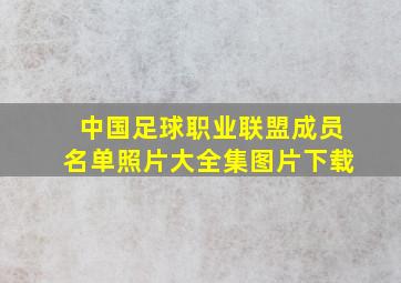 中国足球职业联盟成员名单照片大全集图片下载