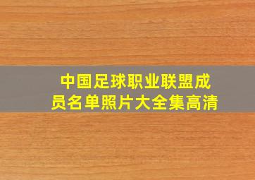 中国足球职业联盟成员名单照片大全集高清