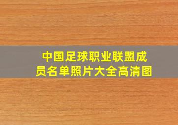 中国足球职业联盟成员名单照片大全高清图