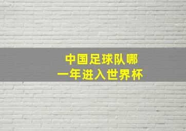 中国足球队哪一年进入世界杯