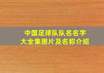 中国足球队队名名字大全集图片及名称介绍