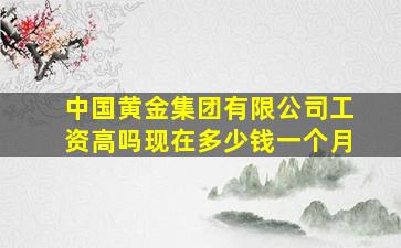 中国黄金集团有限公司工资高吗现在多少钱一个月