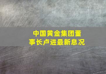 中国黄金集团董事长卢进最新息况