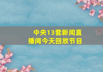 中央13套新闻直播间今天回放节目