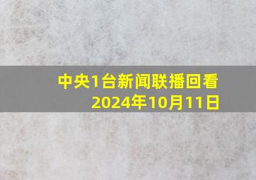 中央1台新闻联播回看2024年10月11日