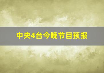 中央4台今晚节目预报