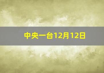 中央一台12月12日