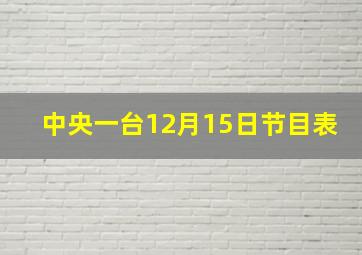 中央一台12月15日节目表