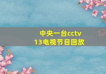 中央一台cctv13电视节目回放