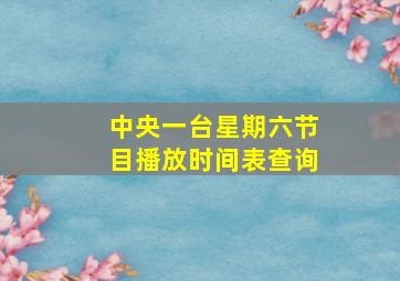 中央一台星期六节目播放时间表查询