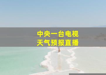 中央一台电视天气预报直播