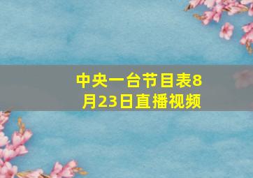 中央一台节目表8月23日直播视频