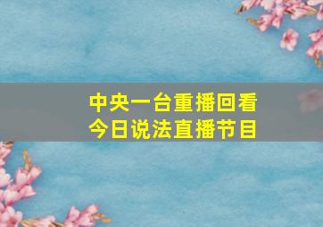 中央一台重播回看今日说法直播节目