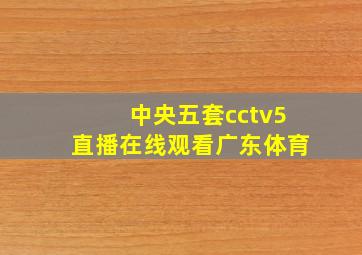 中央五套cctv5直播在线观看广东体育