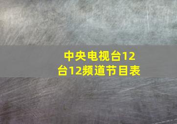 中央电视台12台12频道节目表