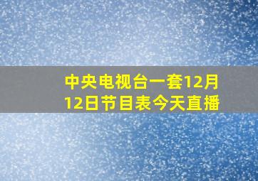 中央电视台一套12月12日节目表今天直播