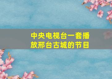 中央电视台一套播放邢台古城的节目