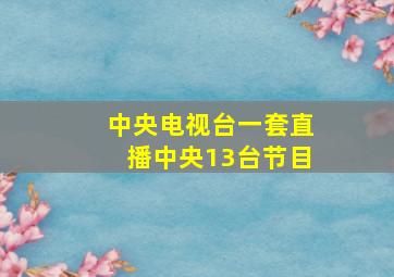 中央电视台一套直播中央13台节目