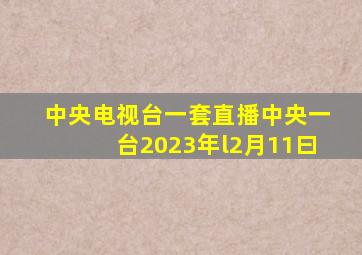 中央电视台一套直播中央一台2023年l2月11曰