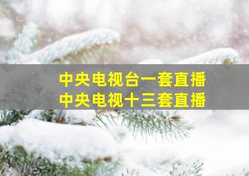 中央电视台一套直播中央电视十三套直播