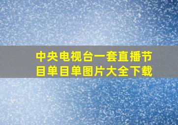 中央电视台一套直播节目单目单图片大全下载