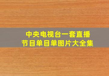 中央电视台一套直播节目单目单图片大全集