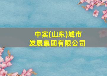 中实(山东)城市发展集团有限公司