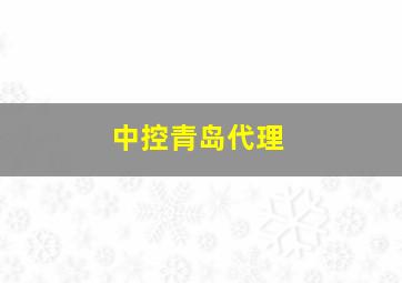 中控青岛代理